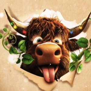 Cast Set For JACK AND THE BEANSTALK at Dundee Rep Theatre