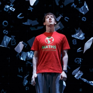 THE CURIOUS INCIDENT OF THE DOG IN THE NIGHT-TIME is Now Available For Licensing in t Photo