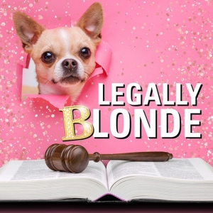 LEGALLY BLONDE Comes to the Citadel Theatre This Summer Photo