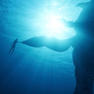 AVATAR: THE WAY OF WATER Returns to El Capitan Theatre in 3D This October Photo