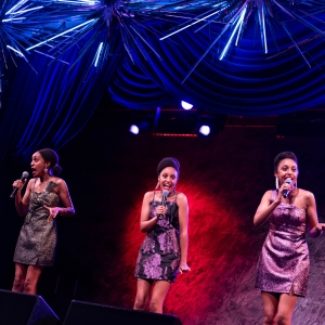 Photos: Inside DREW & DANES 32ND ANNUAL FESTIVITY Supporting Broadway Cares Photo