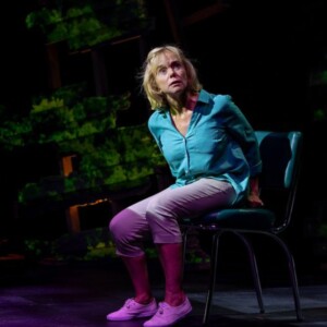 Interview: Actress Linda Purl on New Album & Starring in CRAZY MAMA at 59E59 Photo