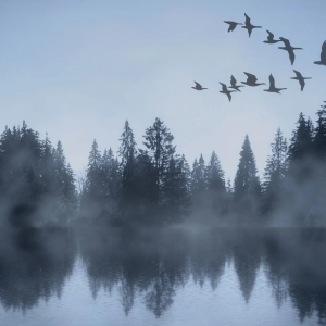 SWAN LAKE is Now Playing at the National Theatre in Prague Video