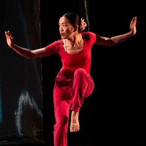 Japan Society to Present North American Premiere of LE TAMBOUR DE SOIE (THE SILK DRUM