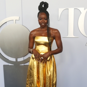 Danai Gurira, Christy Turlington Burns and More Set for ICONS OF CULTURE at PAC NYC Photo