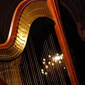 Concord Women’s Chorus Will Perform THE HARPERS SONG: A Ceremony of Carols Photo