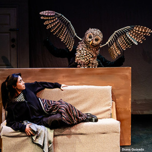 YAMEL CUCUY to Return to Latino Theater Company This Fall Photo