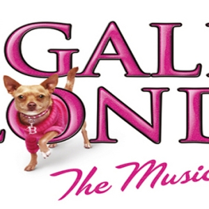 LEGALLY BLONDE THE MUSICAL Comes to South Africa in 2024 Photo