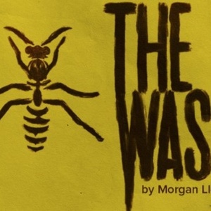 Cast Set for THE WASP Revival at Southwark Playhouse Video