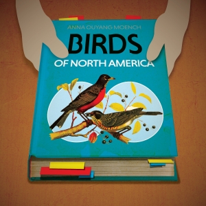 BIRDS OF NORTH AMERICA Comes to Theatre B in 2025