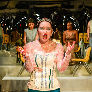 Photos: A Red Orchid Theatre Opens 33rd Season with World Premiere of VEAL Photo