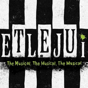 BEETLEJUICE Will Come to the Morris Center This Month Photo