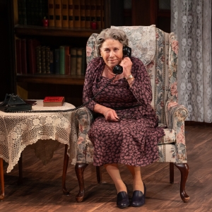 Photos: Judy Kaye, Bernard Dotson and Jim Poulos in DRIVING MISS DAISY at Theatre Aspen Photo