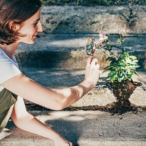 POP UP GARDEN Will Come to Salon Stolz in July Photo