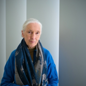 Dr. Jane Goodall Comes to the Kings Theatre Next Month Video