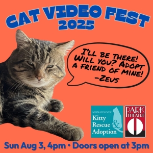 CATVIDEOFEST 2025 Returns to The Park Theatre in August