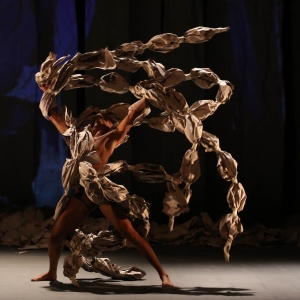 Ciclo Coreografía Contemporánea De Brasil En México: Una MiraDa A La Diversidad Corporal Y Escénica Del País Sudamericano