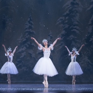 Toronto International Ballet Theatre Performs THE NUTCRACKER Next Month Photo
