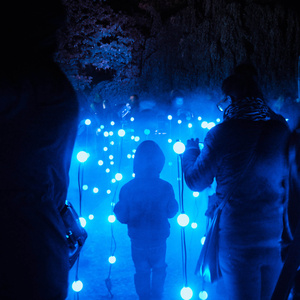 IGNITE Broward Returns With Onda Studio, Daniel Popper, And Ana María Caballero Photo