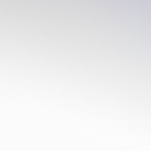 Music League and Roxxem Win Music Tectonics' 2025 Swimming With Narwhals Startup Comp Photo