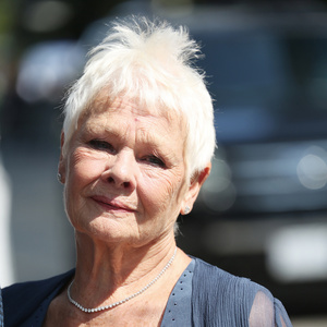 Judi Dench Painting To Be Auctioned For Yvonne Arnaud Theatre Charity Event Photo