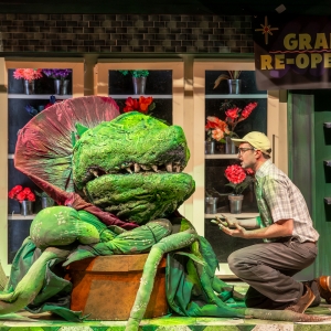 Photos: Music Theater Works' LITTLE SHOP OF HORRORS