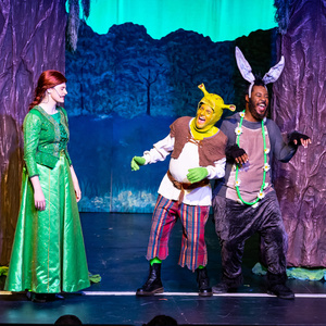 SHREK THE MUSICAL JR Tickets to Go on Sale at Playful People Productions Photo