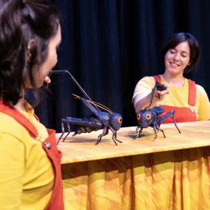 Photos: First Look at the Colorful Creatures of THE ERIC CARLE STORY SHOW Photo