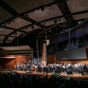 Elmhurst Symphony Orchestra Performs CELEBRATION OF THE DANCE in January Photo