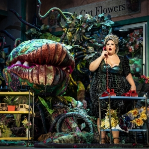 Photos: First Look at Paramount Theatre's LITTLE SHOP OF HORRORS Photo