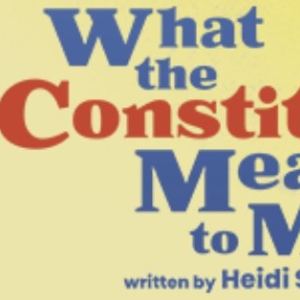 WHAT THE CONSTITUTION MEANS TO ME Comes to Portland Stage Company in March Photo