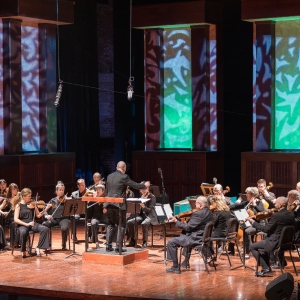 ProMusica Chamber Orchestra to Welcome Capital University Chapel Choir and More In Ja Photo