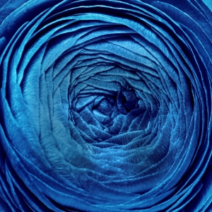 Cast Set For Signature Theatres ORATORIO FOR LIVING THINGS Photo