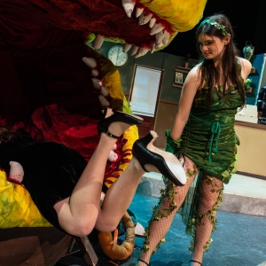 Photos: First look at Dublin Jerome High School Drama Club presents LITTLE SHOP OF HORRORS Photo