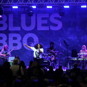 BLUES BBQ FESTIVAL to Return to Hudson River Park for 26th Annual Edition Photo