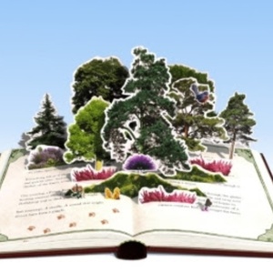 Further Details Revealed For Cultural Celebrations in Ashdown Forest For Winnie-The-P Video