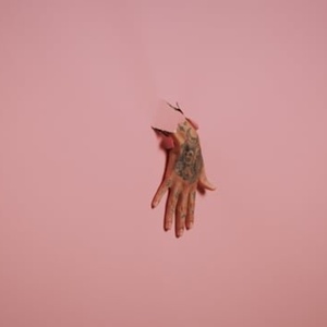 LE NOZZE DI FIGARO Will Come to the Dutch National Opera in May Interview