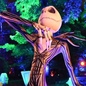 Photos: Inside THE NIGHTMARE BEFORE CHRISTMAS Light Trail in NYC Photo