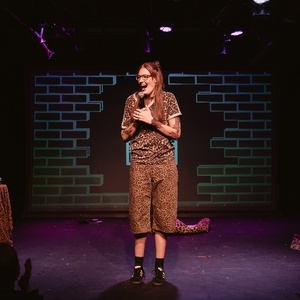 Photos: Lou Wall's BREAKING THE FIFTH WALL at SoHo Playhouse Photo
