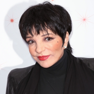 Liza Minnelli Releasing Memoir in 2026