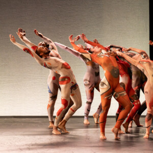 Hudson Valley Dance Festival Raises $236,189 for Dancers Responding to AIDS Photo