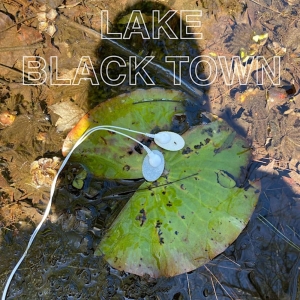 JayVe Montgomery To Present LAKE BLACK TOWN Concert Following NEA Funding Cuts Photo