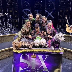 Photos: Dogs Dressed as the SIX Queens Meet the SIX Queens of Broadway Photo