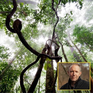 Mattias Klum Will Appear in TRAILBLAZING TALKS Series at Kauffman Center Photo