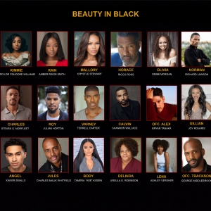 Cast Set For TYLER PERRY'S BEAUTY IN BLACK on Netflix Photo