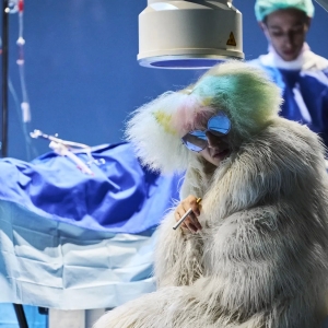 KRANKE HUNDE is Now Playing at Theater Basel