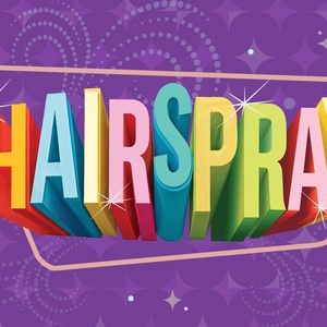 Full Cast Set For HAIRSPRAY at The Muny Photo