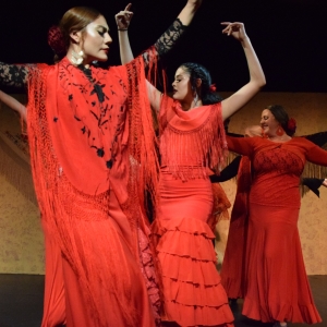 Compañia Chuscales and Mina Fajardo Host Holiday Flamenco 2024 - Memories of Granada Photo