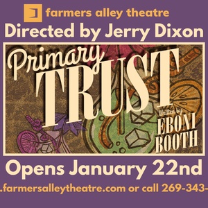 PRIMARY TRUST Comes to Farmers Alley Theatre Photo
