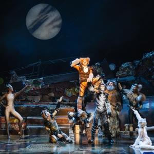 CATS Comes to Perth This Year Photo